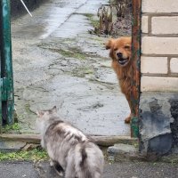 Широкая улыбка (мне) :) :: Наталья 