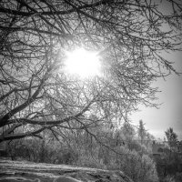 Солнечный морозный день :: Роман Алексеев