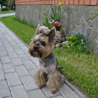 Моя радость :: Марина Виноградова