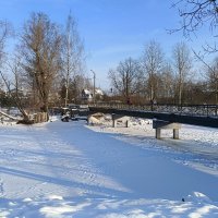 Последние дни января... :: Мария Васильева