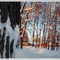 парк Усадьба Фряново :: Любовь 