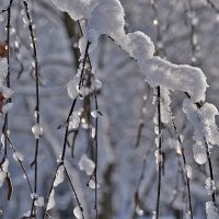 Зима на Белгородчине! :: Валентина  Нефёдова 