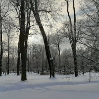 Петергоф. Парк Александрия :: Наталья Герасимова