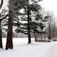 Петергоф. Александрия :: Наталья Герасимова