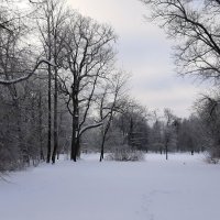 Петергоф. Парк Александрия :: Наталья Герасимова