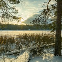 Тропою света.... :: Александр Филатов