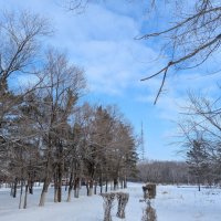 Зимний день :: Андрей Хлопонин