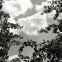 Фотография :: Денис Безногов