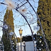 У стен храма :: Veera V