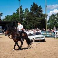 Про лошадиную силу :: Магомед .