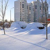 Мороз и солнце.... :: Валерий Иванович