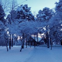 Утро в зимнем парке санатория :: Любовь Сахарова