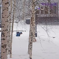 Январь...Какая  же интересная дорога в школу! :: Владимир 