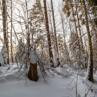 Зимний день :: Сергей Цветков