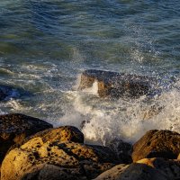 Берег :: Анатолий Чикчирный