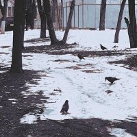 уже недолго :: Николай Семёнов