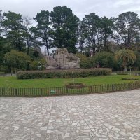 Сочинский дендрарий зимой :: Serega SchütZ