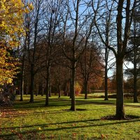 Солнечный день ноября :: Юрий. Шмаков