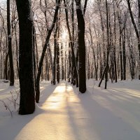 На пороге февраля... :: Андрей Заломленков