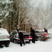 метель :: Владимир 