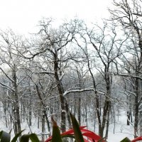 *** :: Валентина Береснева *** :: Валентина Береснева