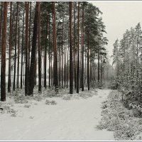 *** :: Aleksandr Gal