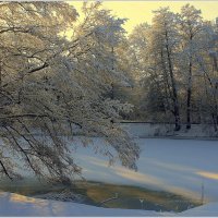 *** :: Aleksandr Gal