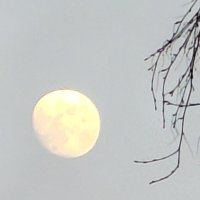 Moon :: Андрей 