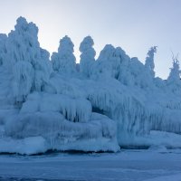 Сказочный лес :: Евгений Тарасов
