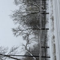 Зима в городе :: Pippa 