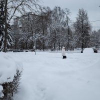 На зимней улице :: Александр Синдерёв