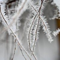 Зима :: Вадим 