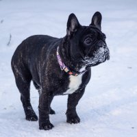 *** :: Александр. AVG100 ---