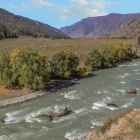 Речки Горного Алтая :: елена беликова