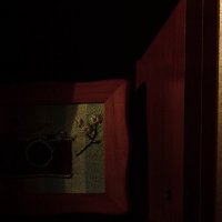 Единица. :: Василий Палий Единица. :: Василий Палий