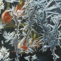 узоры зимы :: ИННА ПОРОХОВА