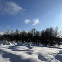 Мороз и солнце :: VikArt 