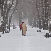 В зимнем сквере :: Татьяна Машошина