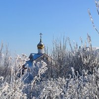 Морозный день в конце января. :: Ольга 