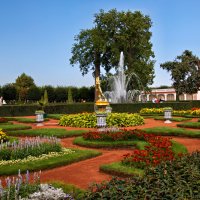 Петергоф :: Laryan1 