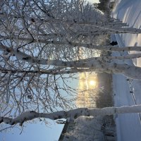 Мороз и солнце :: Эльвира Белянская Мороз и солнце :: Эльвира Белянская