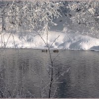 Про речку... :: Aquarius - Сергей