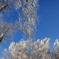 Солнечный день :: Игорь Сычёв