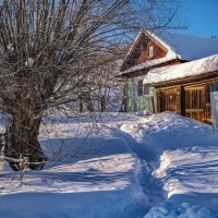 "По снежной тропке к старым воротам"© :: Владимир Макаров