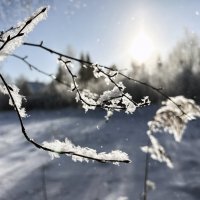 снег кружит :: Дмитрий Иванов