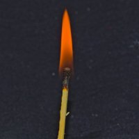 Спичка :: Giant Tao /