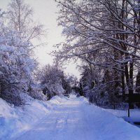 Моя зимняя улица :: Людмила Смородинская Моя зимняя улица :: Людмила Смородинская