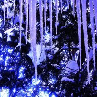 За окном :: Людмила Смородинская