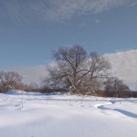 Рыбацкая тропа вдоль Оки. :: Николай 