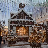 Новогодняя Москва. Путешествие в Рождество 2026. :: Наташа ***** Новогодняя Москва. Путешествие в Рождество 2026. :: Наташа *****